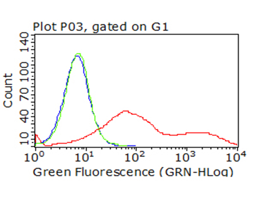 CTLA4 Antibody