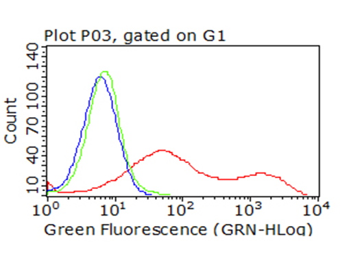 CTLA4 Antibody