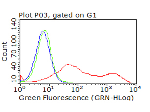 CTLA4 Antibody