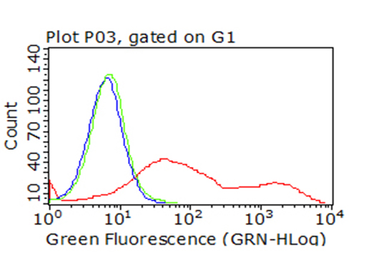 CTLA4 Antibody
