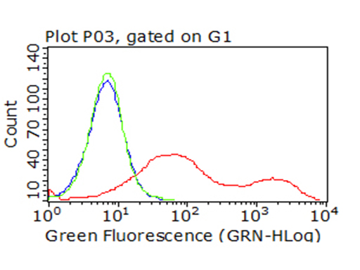 CTLA4 Antibody