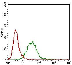 CTNNBL1 Antibody