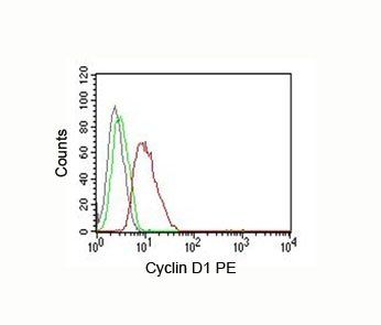 Cyclin D1 antibody (PE)