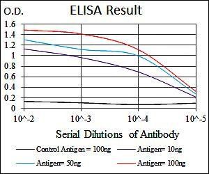 CYP1A1 Antibody