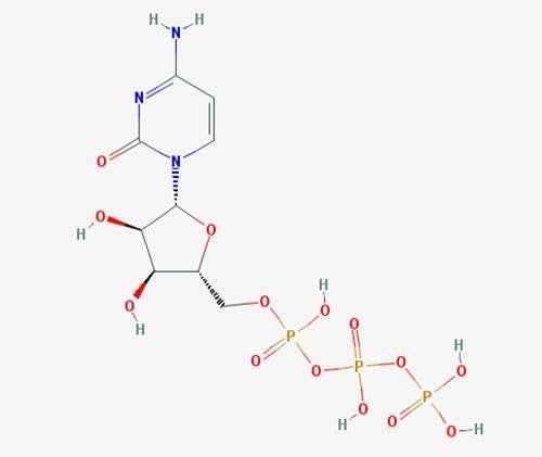 CTP - Solution