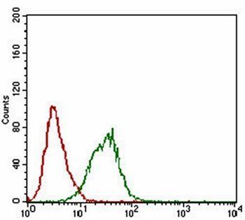 DAPK3 Antibody