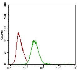 DCN Antibody