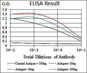 DCX Antibody