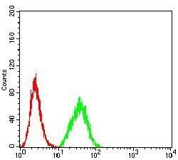 DDX1 Antibody