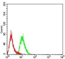 DHX58 Antibody