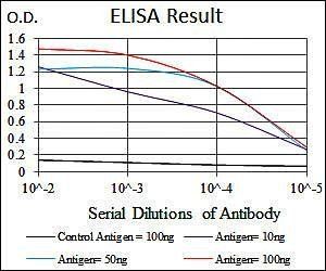 DLL4 Antibody