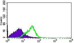 DNAL4 Antibody