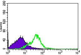 DNAL4 Antibody