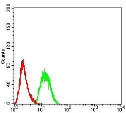 DNMT3A Antibody