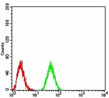 DNMT3B Antibody