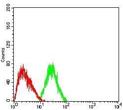 DNMT3L Antibody