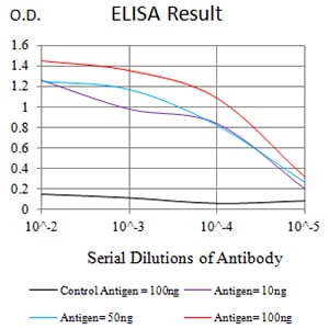 CD57 Antibody