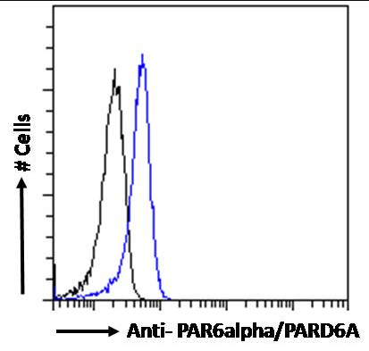PARD6A antibody