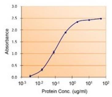 Goat anti-PAI1 / SERPINE1 Antibody