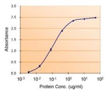 PAI-1 antibody