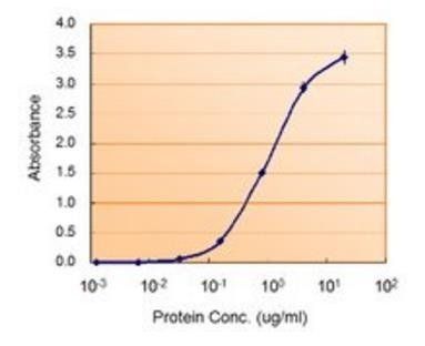 Goat anti-MAOB Antibody