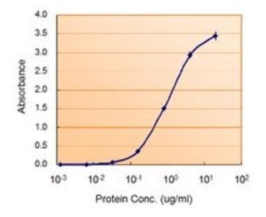 MAOB antibody