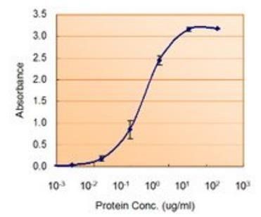 Goat anti-SOD1 Antibody