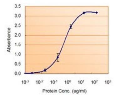 SOD1 antibody