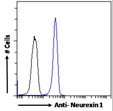 NRXN1 antibody