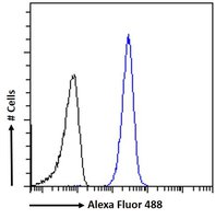 PPARGC1A antibody