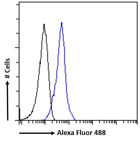 IFNAR2 antibody