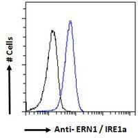 ERN1 antibody