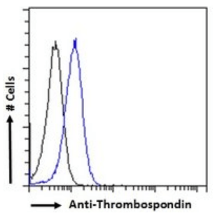 THBS1 antibody