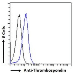 Goat anti-Thrombospondin Antibody
