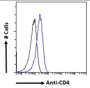 Goat anti-CD4 Antibody
