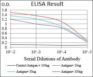 EGFR Antibody