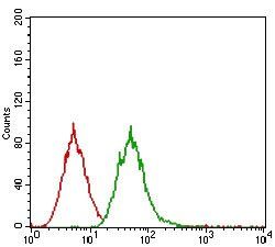 EGFR Antibody