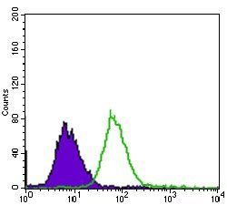 EGFR mutant (L858R)