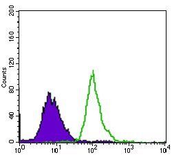 EGFR mutant (L858R)