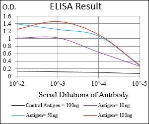 EIF2A Antibody