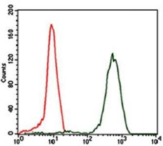 EIF4B Antibody