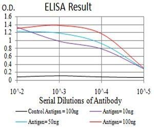 EIF5 Antibody