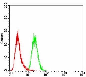 EIF5A Antibody