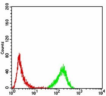 EMD Antibody