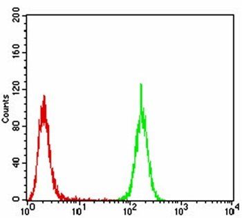 EMD Antibody