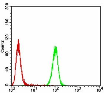 EMD Antibody