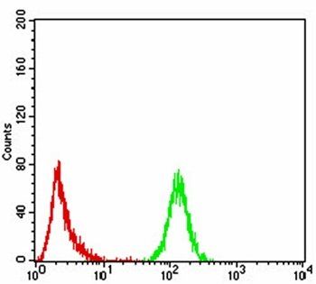 EMD Antibody