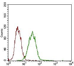 EPCAM Antibody