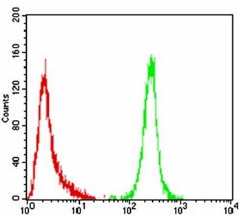 ERBB4 Antibody