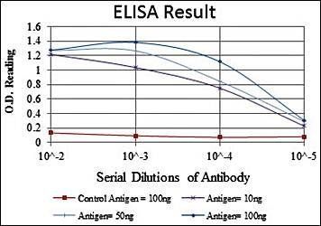 ERK3 Antibody